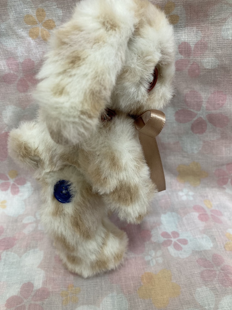 小さなコルコット