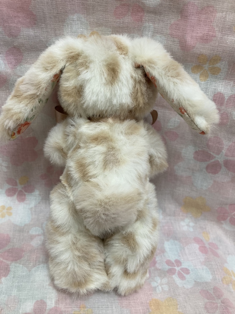 小さなコルコット