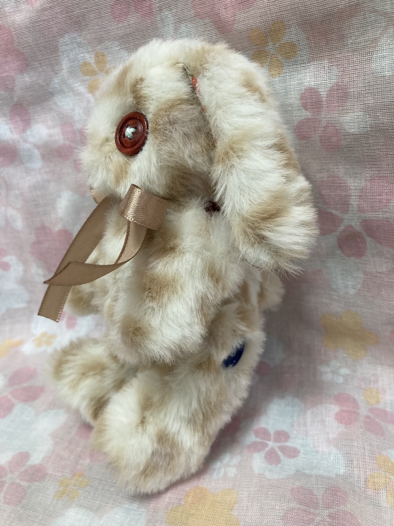 小さなコルコット