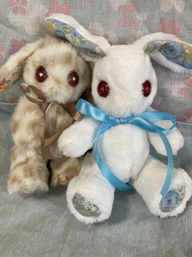 小さなコルコット 白兎