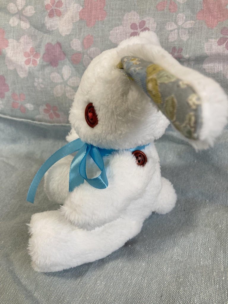 小さなコルコット 白兎