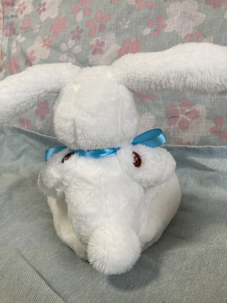 小さなコルコット 白兎
