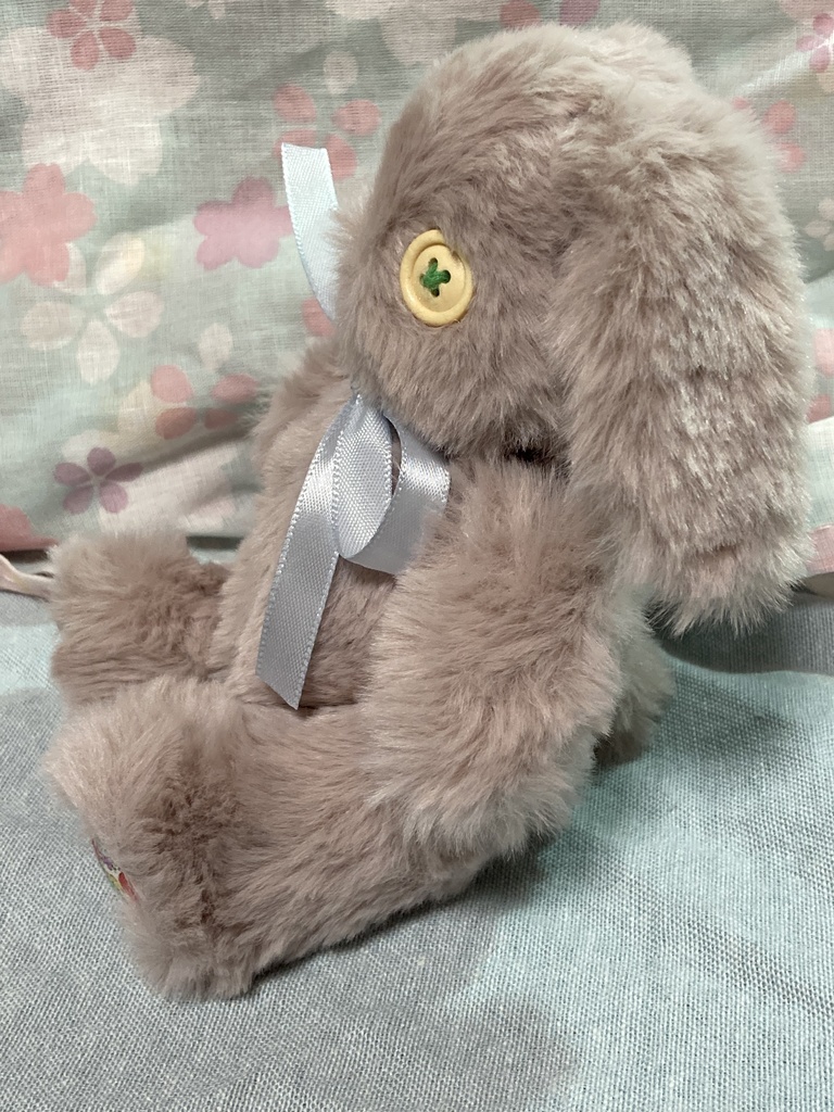 小さなコルコット ロップイヤー