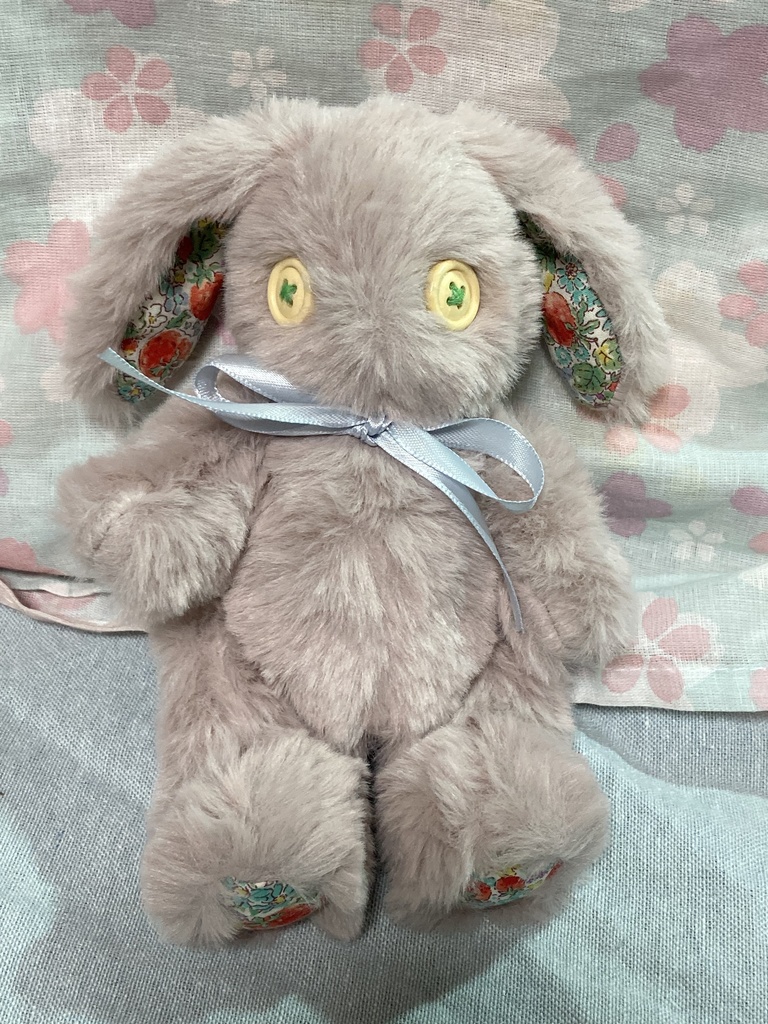 小さなコルコット ロップイヤー