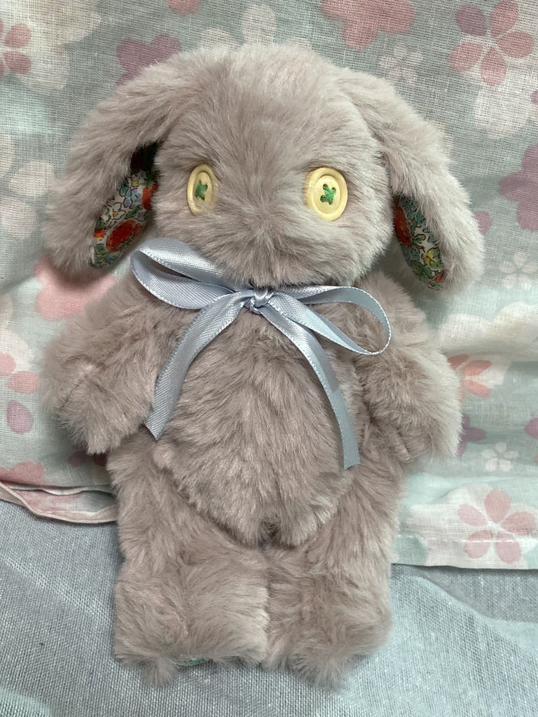 小さなコルコット ロップイヤー