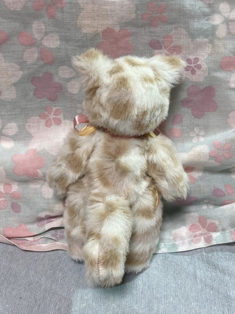 小さなコルコット 子猫