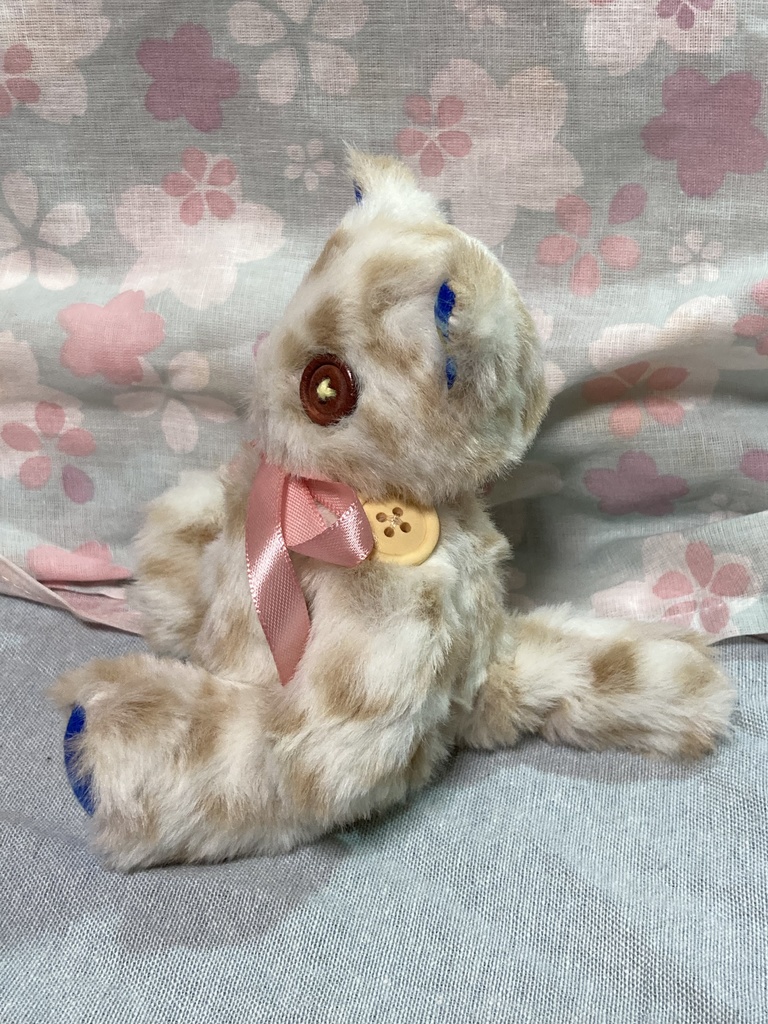 小さなコルコット 子猫