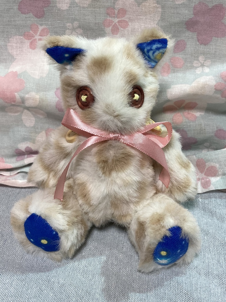 小さなコルコット 子猫