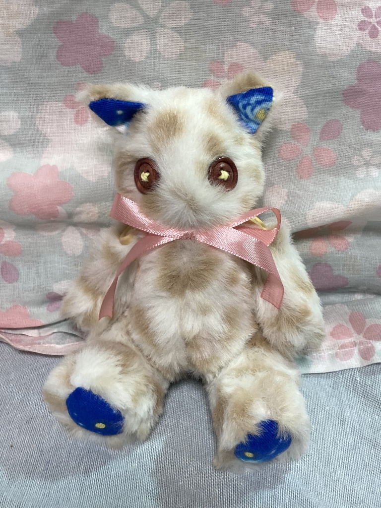 小さなコルコット 子猫
