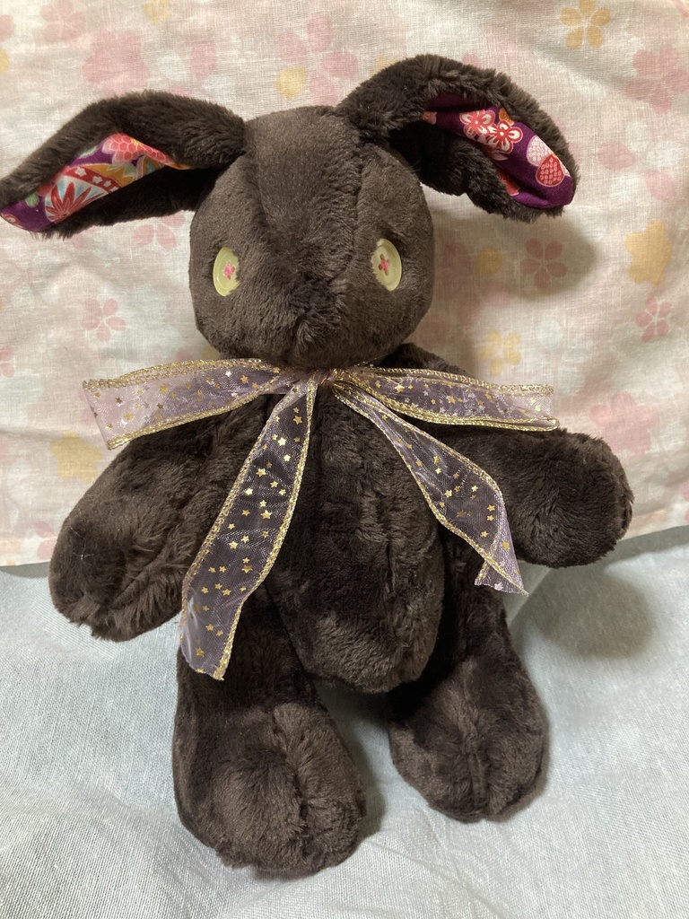 黒コルコット 華やぐ