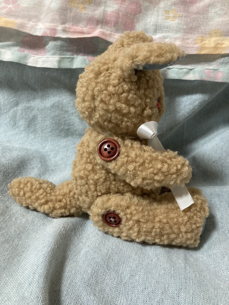 小さなコルコット 茶猫