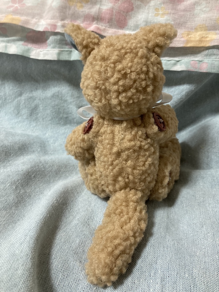 小さなコルコット 茶猫