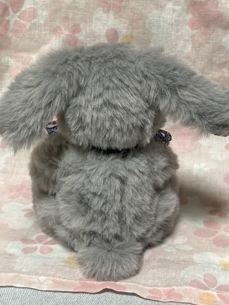 小さなコルコット 銀雪