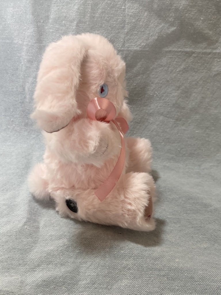 小さなコルコット 春のうさぎ