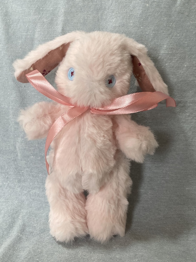 小さなコルコット 春のうさぎ