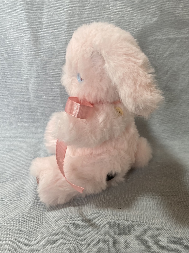 小さなコルコット 春のうさぎ