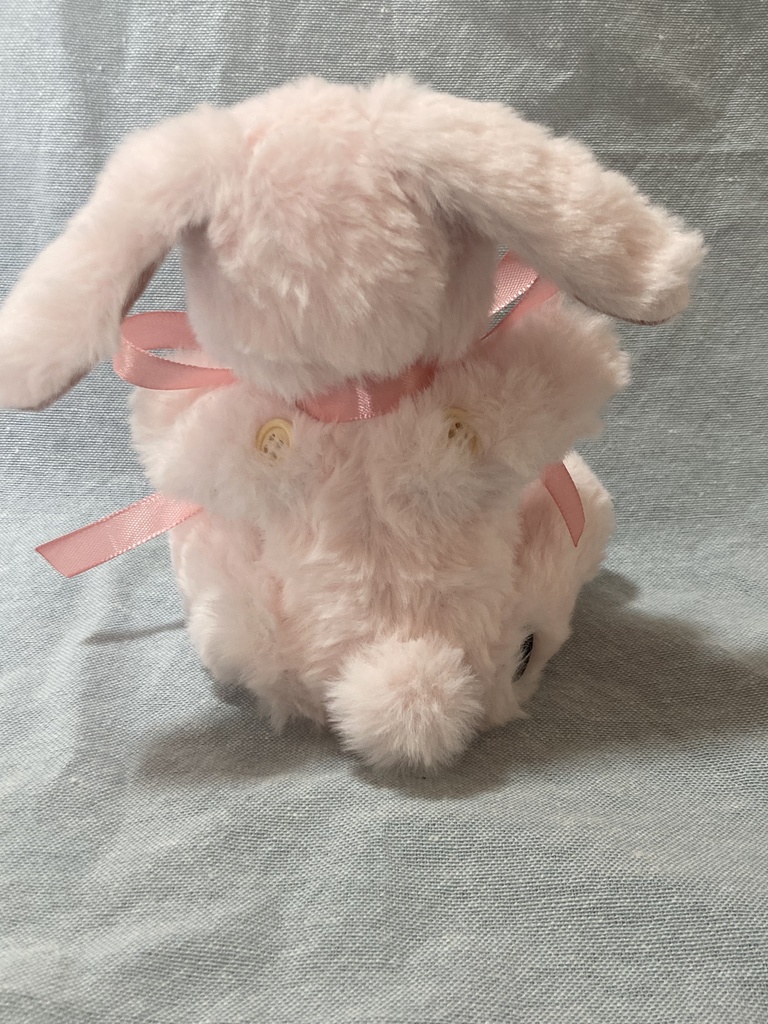 小さなコルコット 春のうさぎ