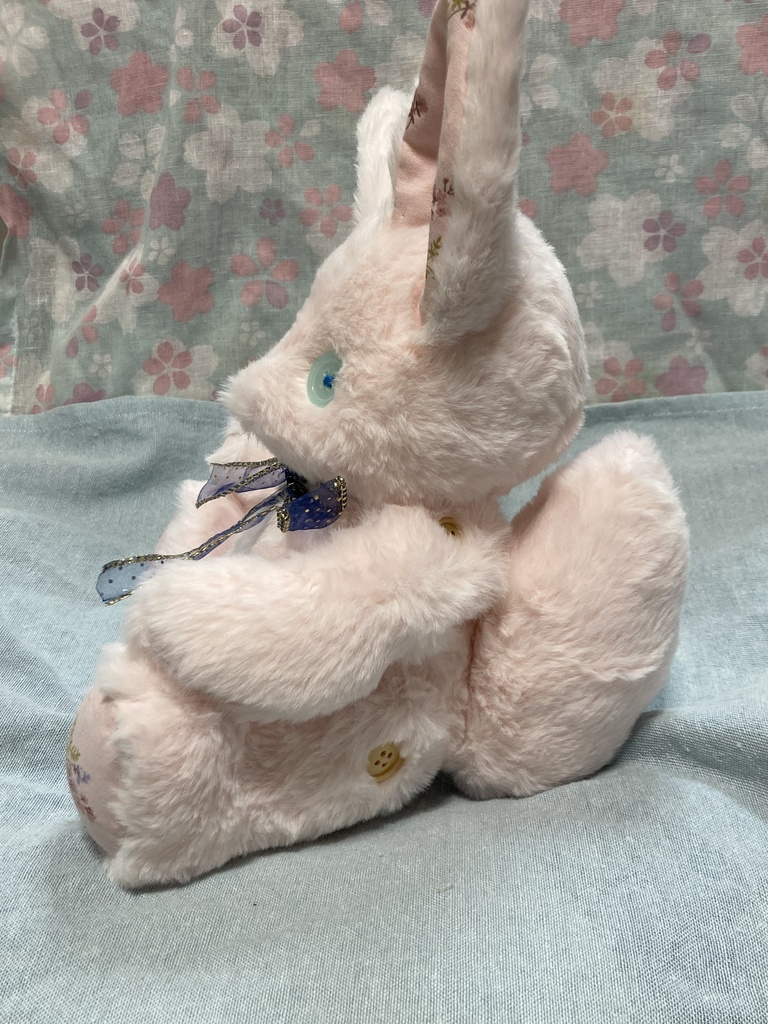 コルコット 桜狐