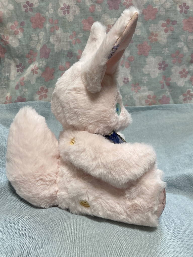 コルコット 桜狐