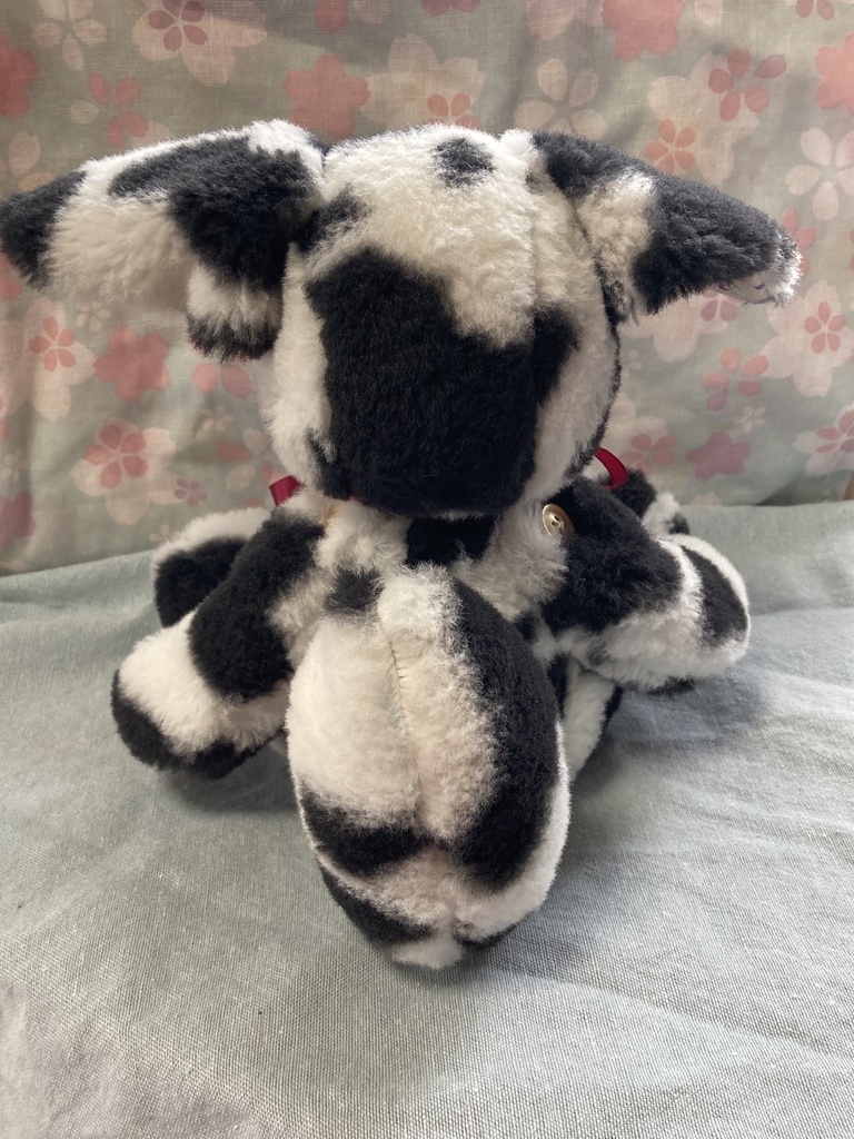 コルコット 白黒