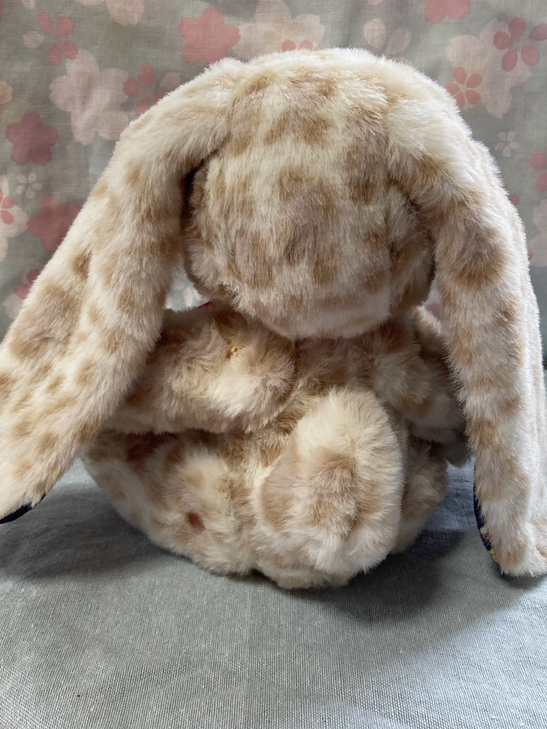 コルコット ロップイヤーうさぎ