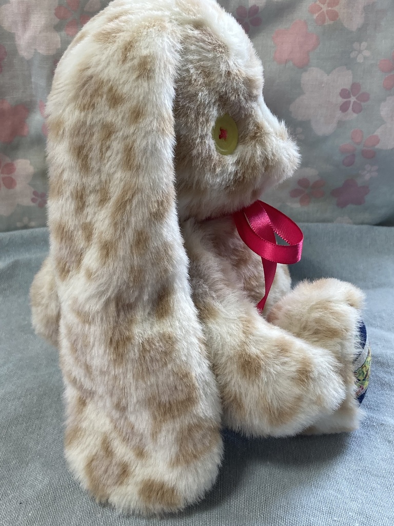 コルコット ロップイヤーうさぎ