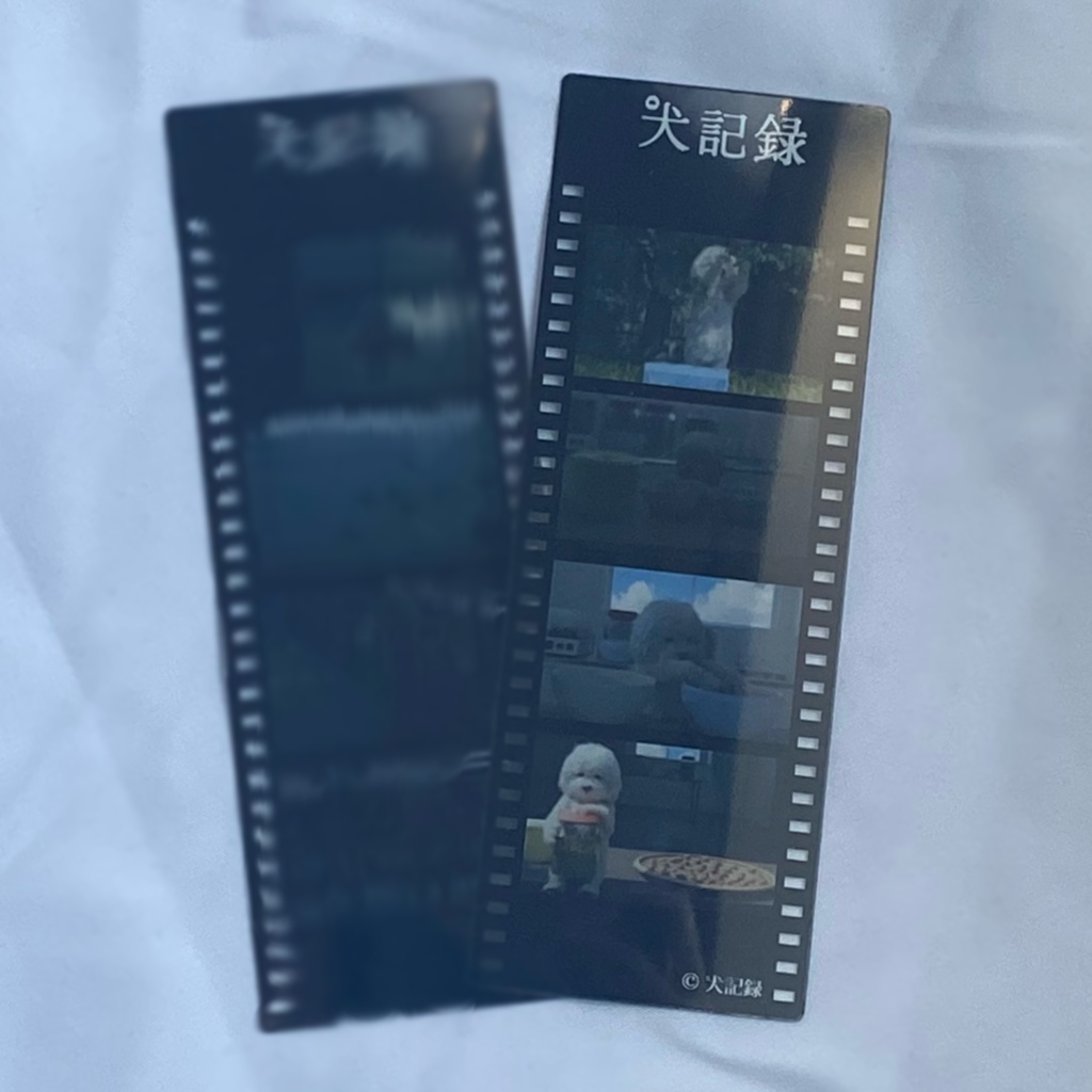 （梅仕事）フィルムしおり