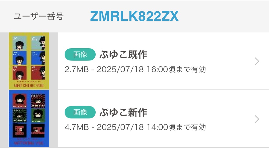 ユーザー番号:ZMRLK822ZX