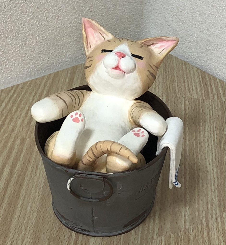 【掲載のみ】おふろでまったり猫