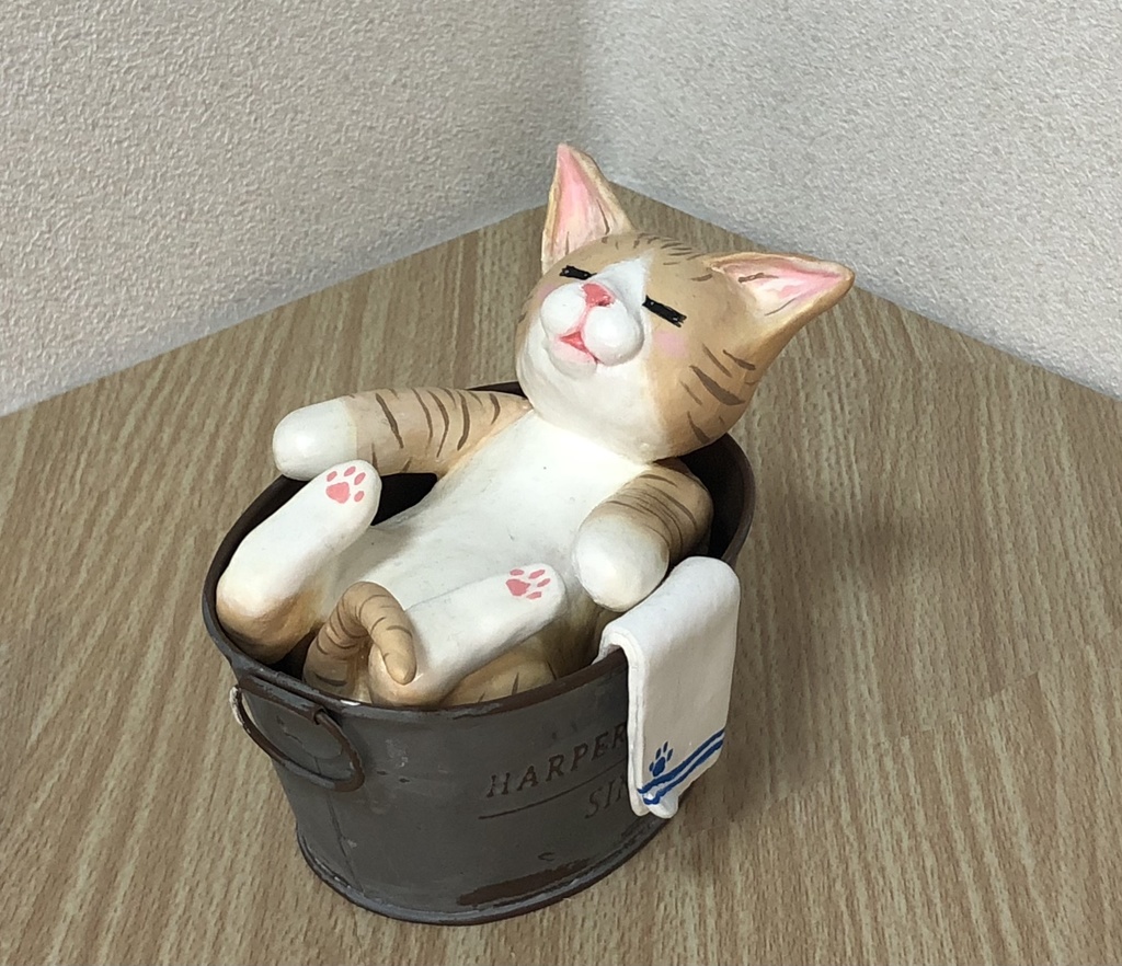 【掲載のみ】おふろでまったり猫