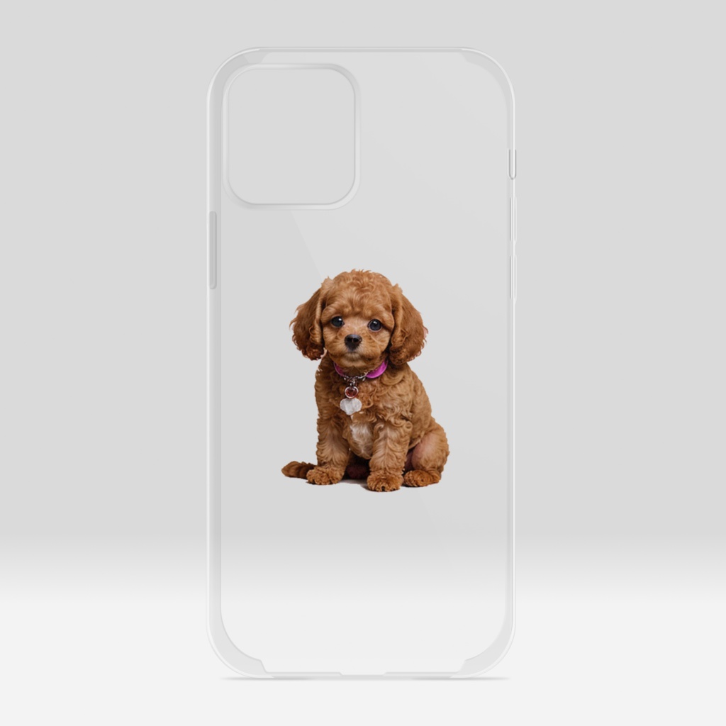 可愛いトイプードル