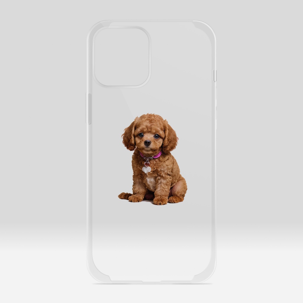 可愛いトイプードル