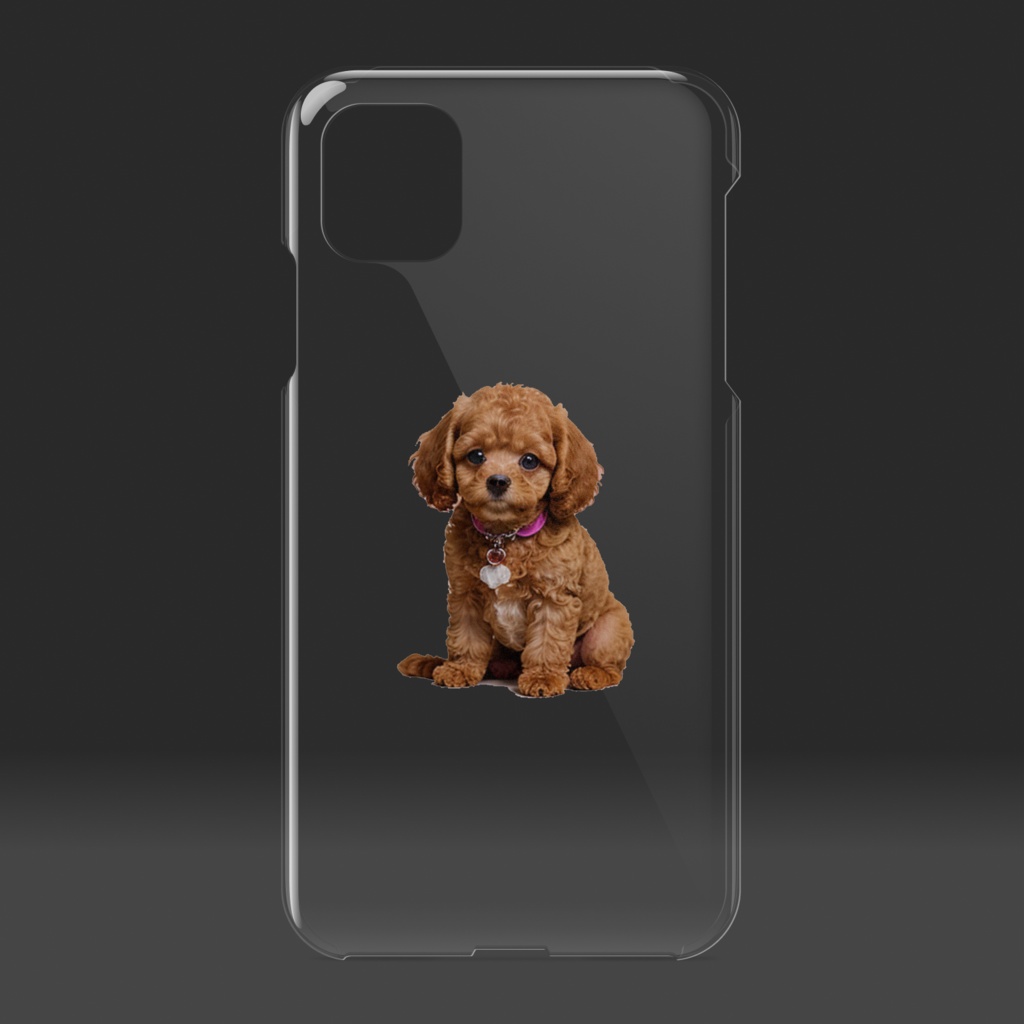 可愛いトイプードル