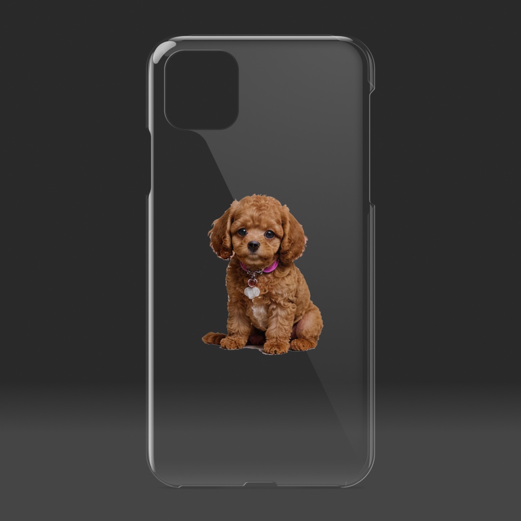 可愛いトイプードル