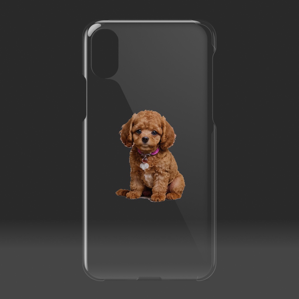 可愛いトイプードル