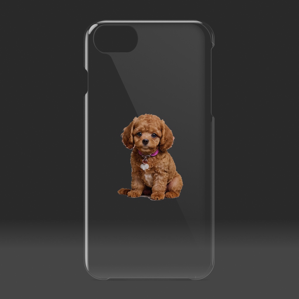 可愛いトイプードル