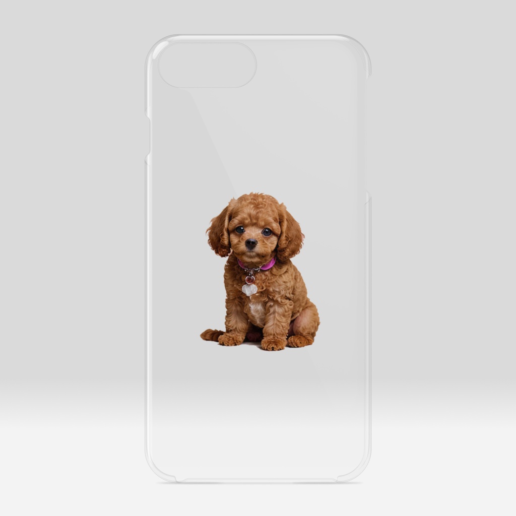 可愛いトイプードル