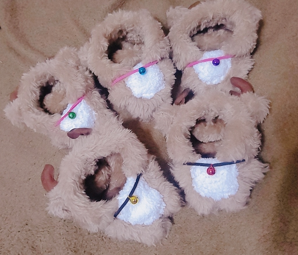 DC プライズぬい用 トナカイ着ぐるみ