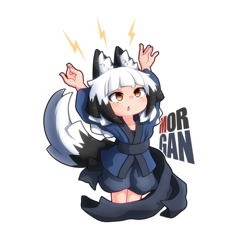 モーガン（怪電波）ミニアクキー