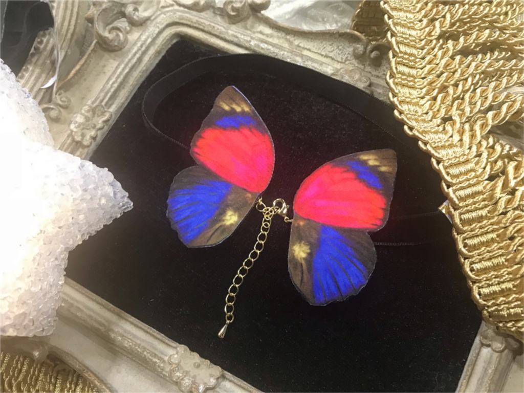 クラウディナミイロタテハ 蝶のチョーカー