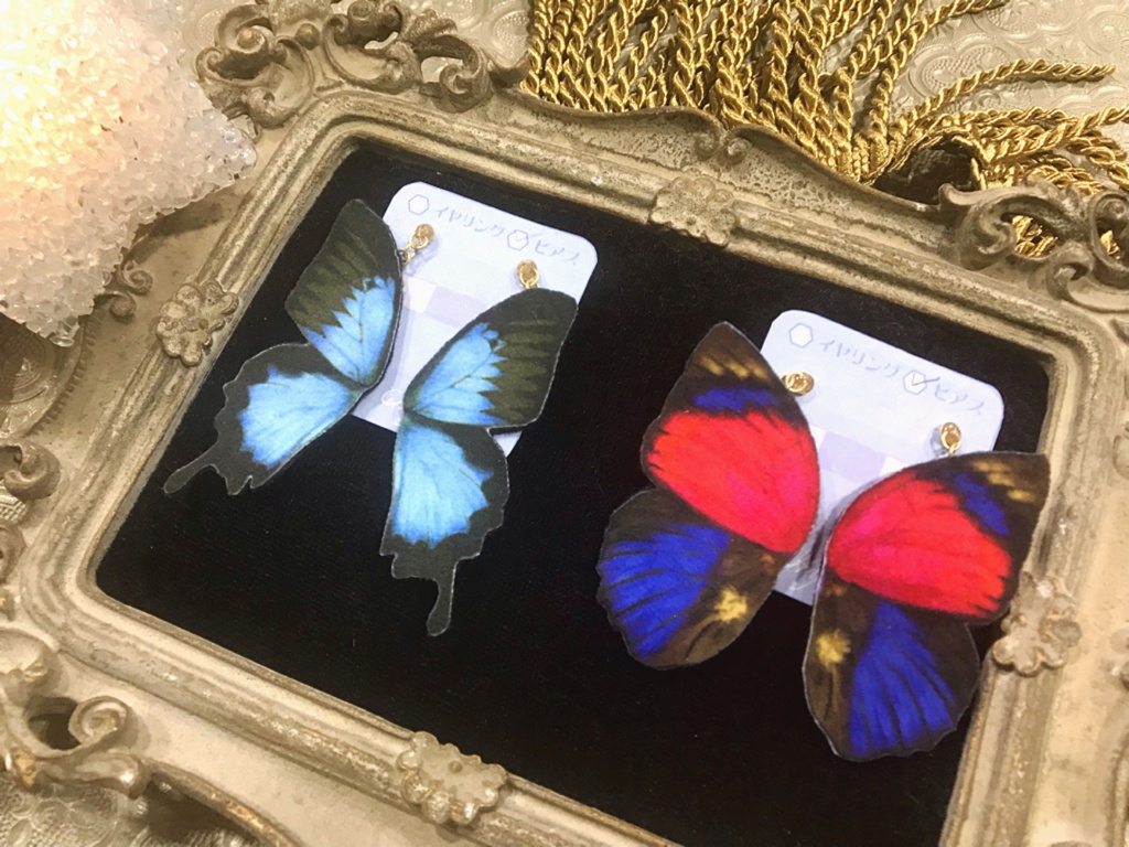 オオルリアゲハ 蝶のイヤリング・ピアス