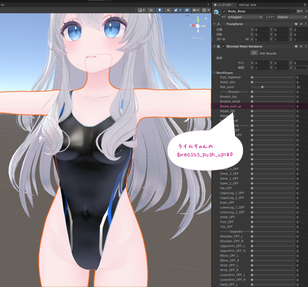 D001式-競泳水着【対応:マヌカ、萌、セレスティア、桔梗、ライム・シフォン】