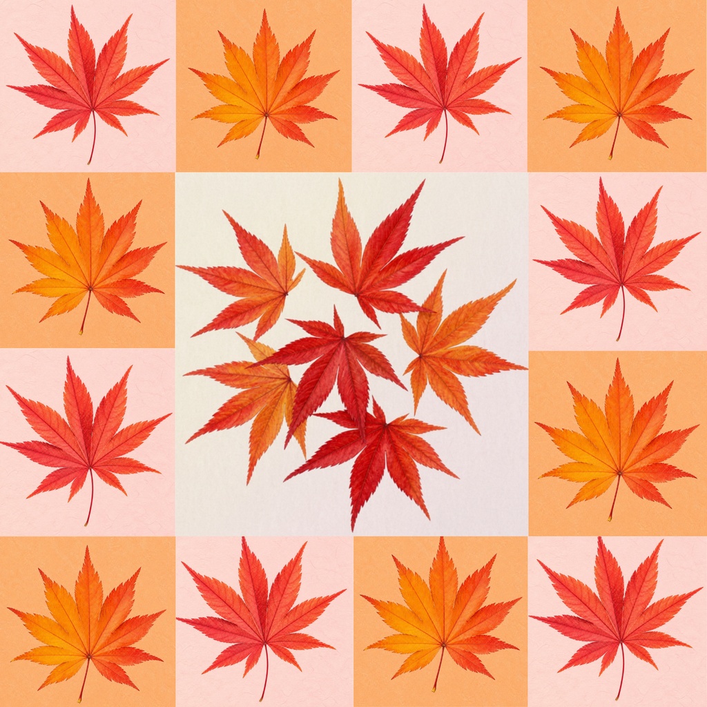 秋の紅葉と花、月見の和風デジタルペーパー
