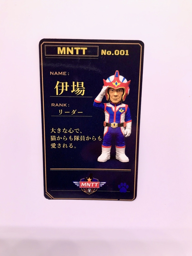 MNTT No.001「伊場さん」16cm キャラクターカード付