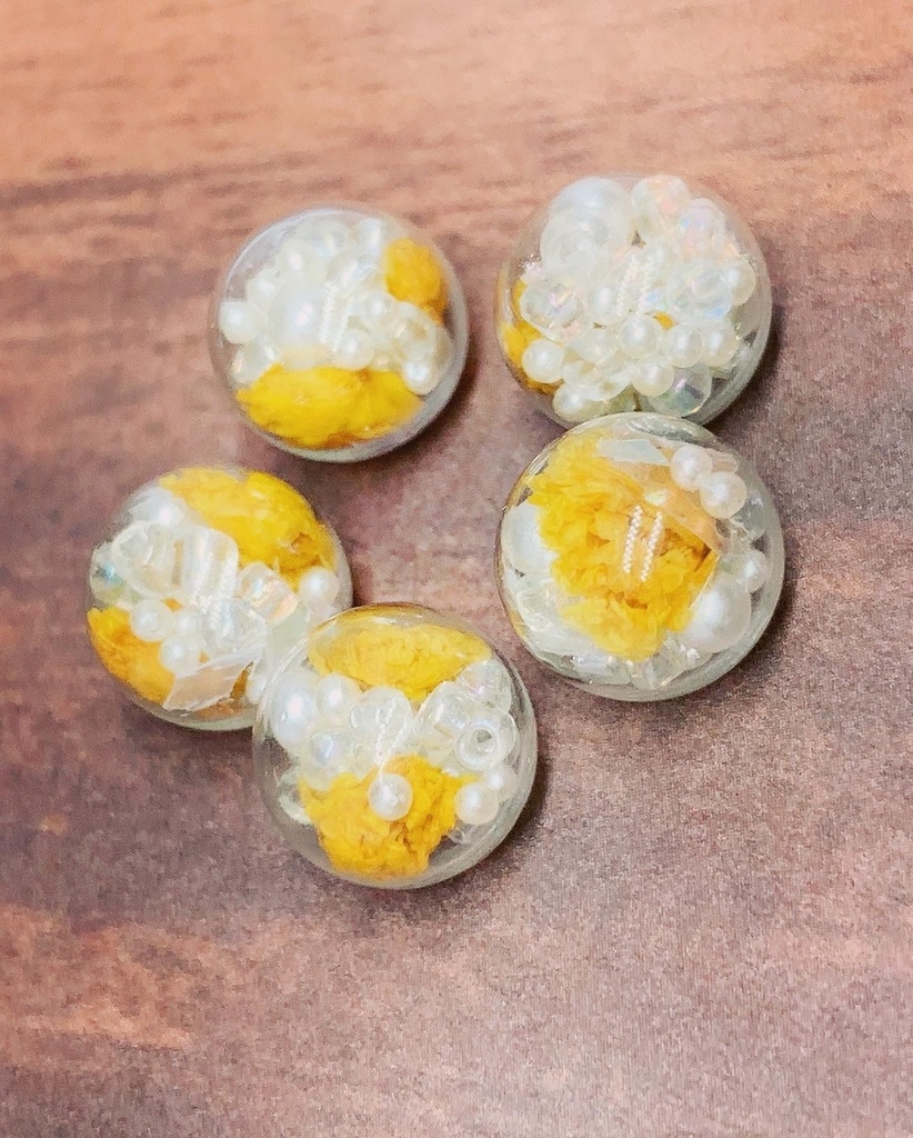 耳飾り*異世界の魔女と秘密の夜を*