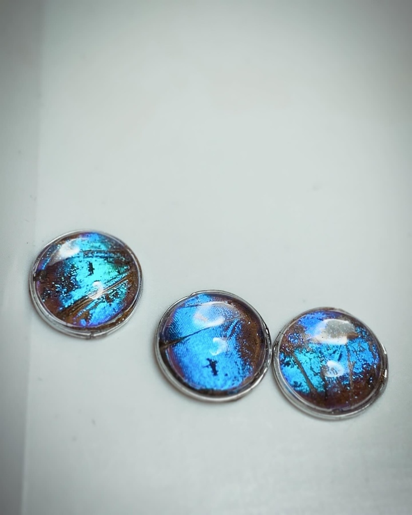 モルフォ蝶の銀ピアス