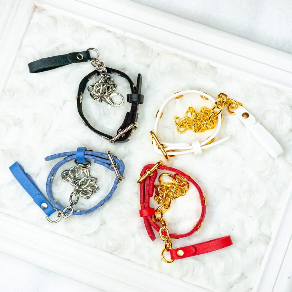 首輪&リード アクセサリーset /4color