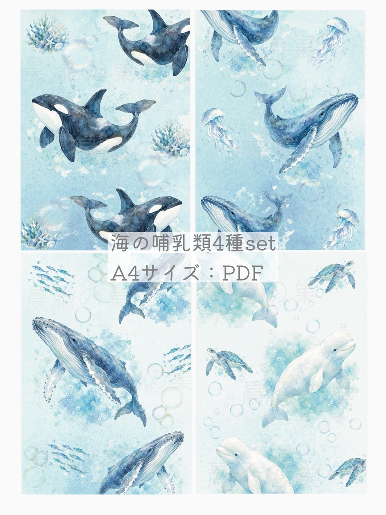 海の哺乳類 水彩画デザインペーパー 4種セット｜A4サイズ PDF