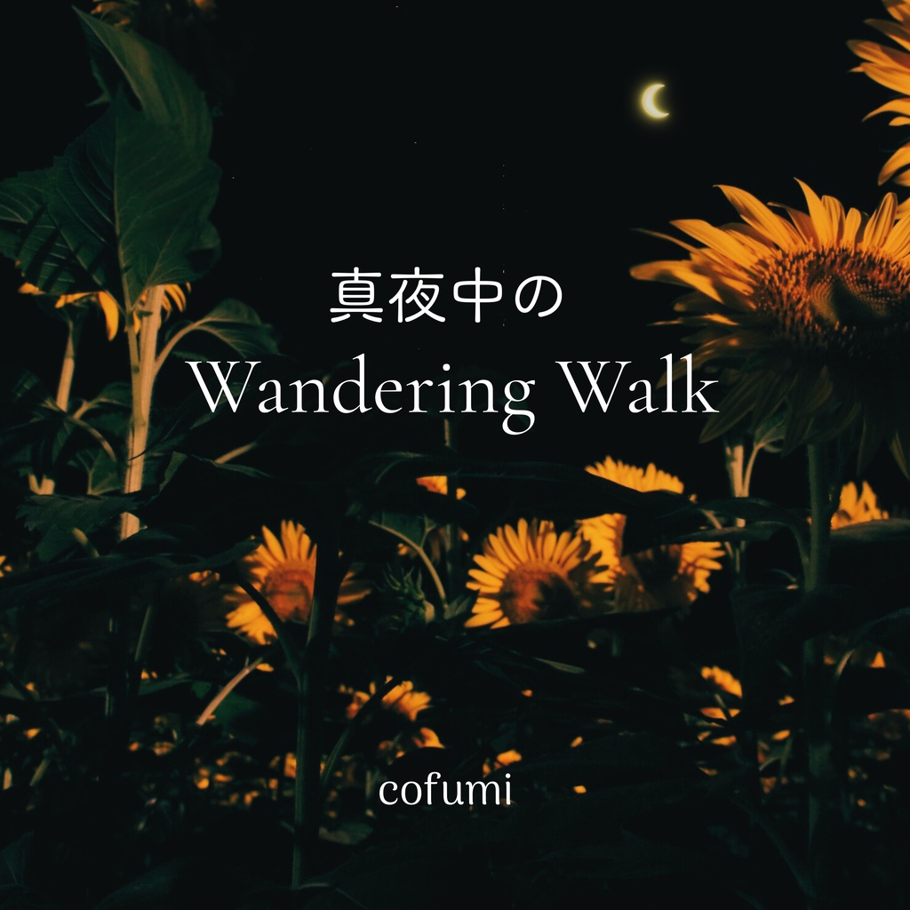 真夜中のWandering Walk