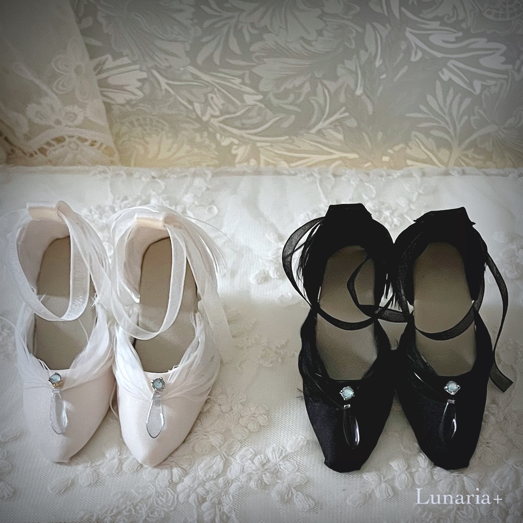 Anniversary sale!【即納】SDGr girl size✴︎Schwan und schwarzer-High-Heel-Schuhe✴︎ -白鳥と黒鳥のヒールシューズ-